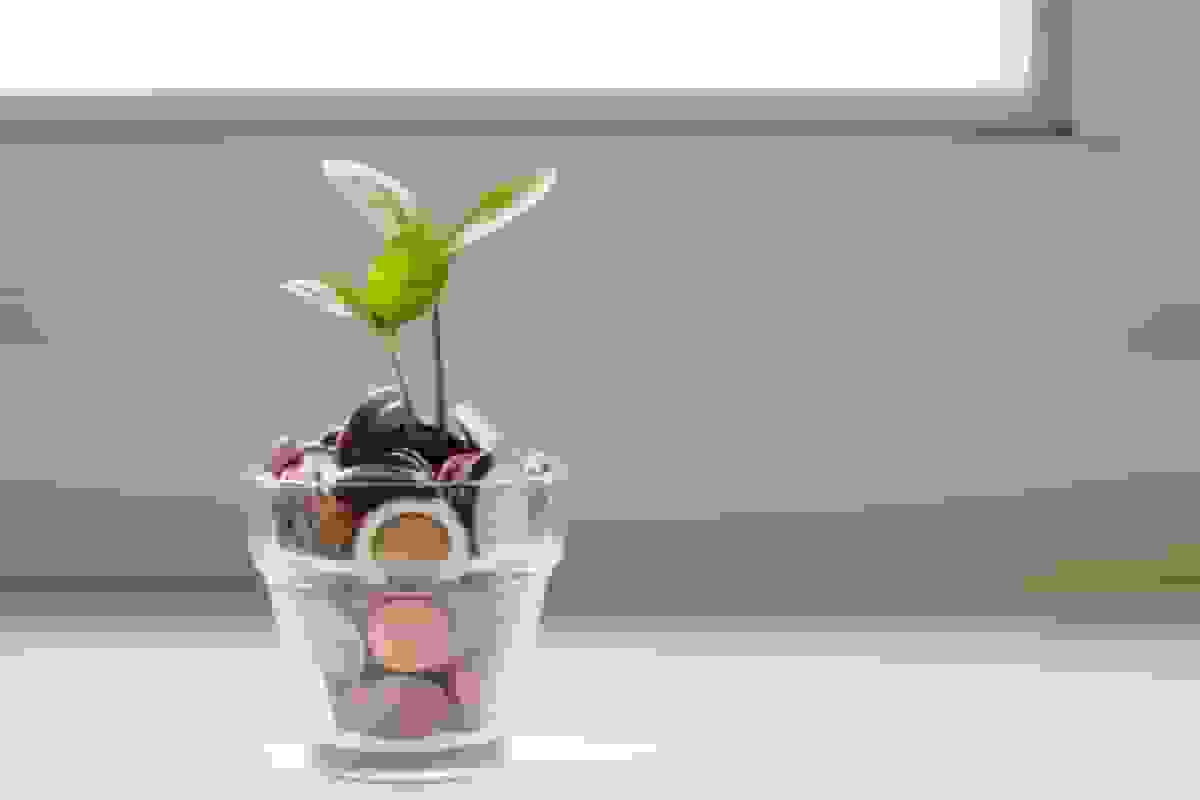 Keys to Your Agency’s Growth: Producers | For Agents | Pie Insurance